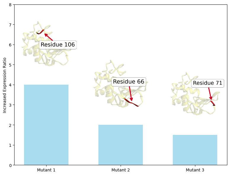 Protein Structure Diagram 2