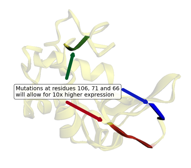 Protein Structure Diagram 3